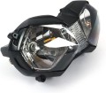 tiger800.4.jpg